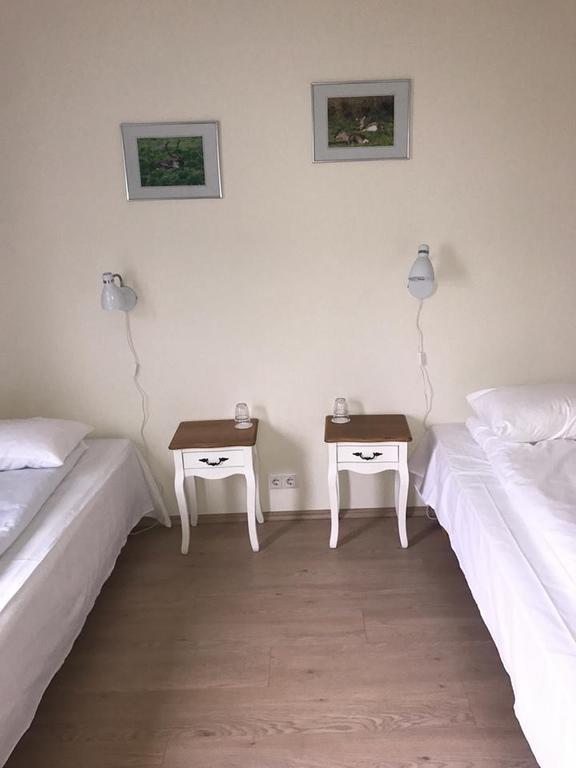 Guesthouse Skjoldolfsstadir Skjoldolfsstathir Eksteriør bilde